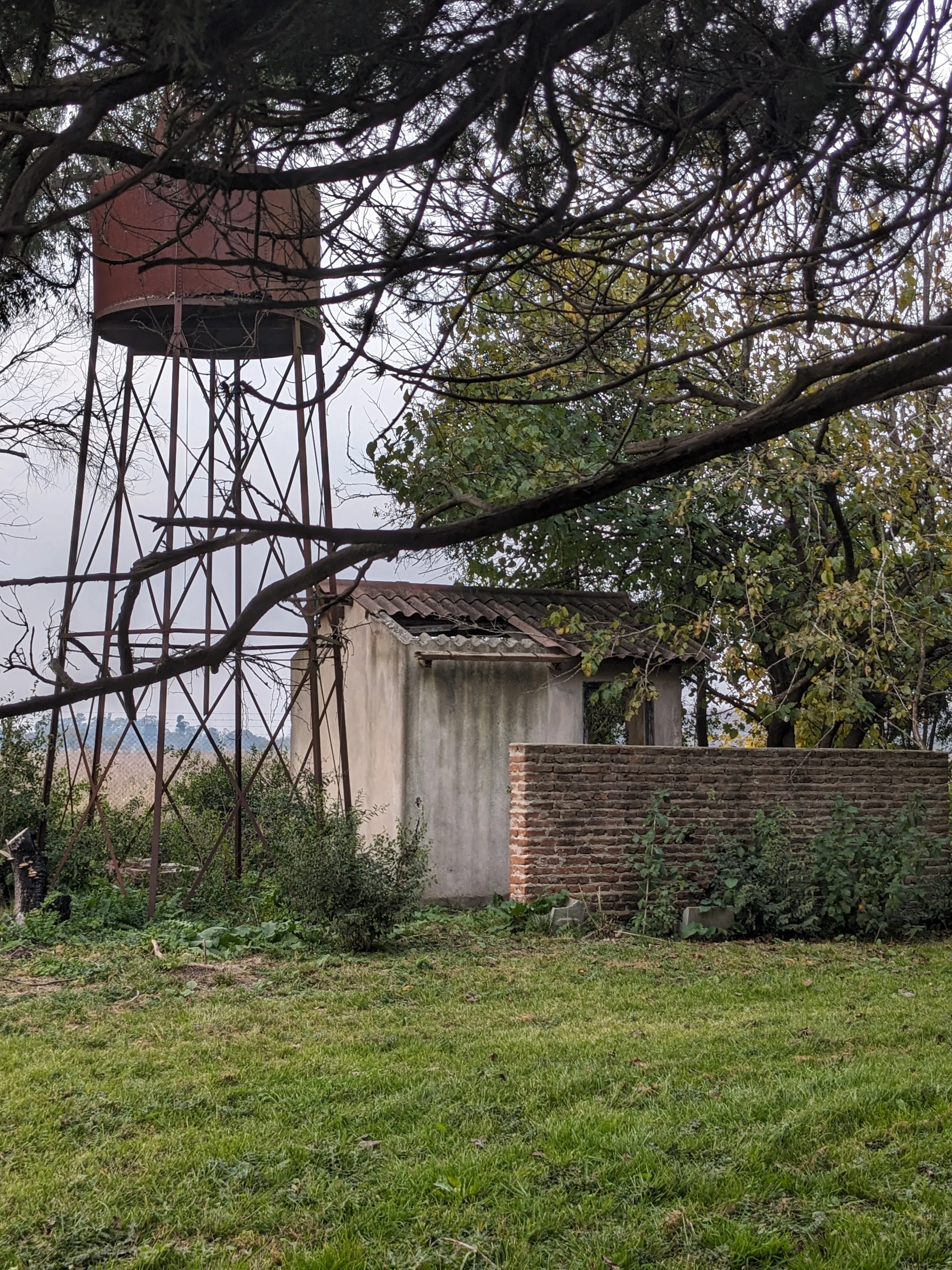 Fotografía 61